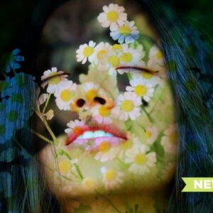 CE Course: The Aromatic Mind